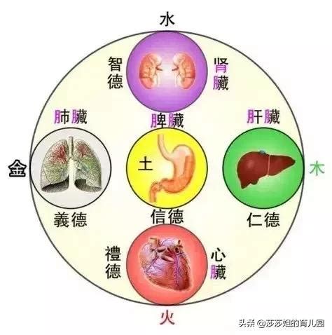 皮膚五行|皮膚五行屬什麼？顧好脾胃，皮膚水感、紅潤 